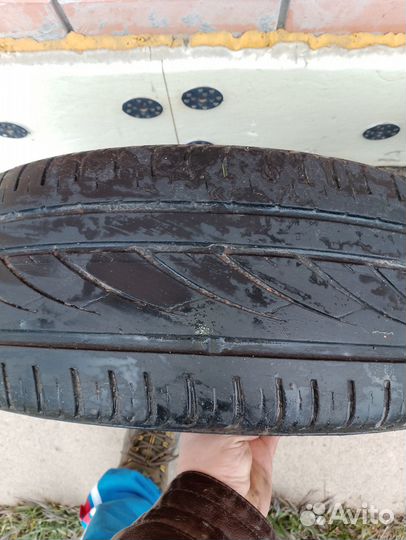 Continental PremiumContact 6 205/55 R16