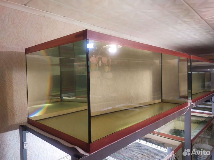 Аквариум и оборудование