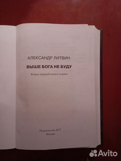 Книга Александр Литвин победитель проекта 