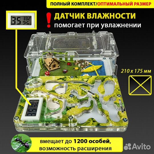 Муравьиная ферма (Формикарий) Стандарт Гигрометр