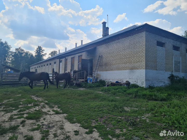 Фермерское хозяйство