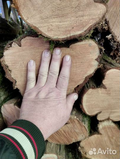 Стволы и спилы кавказского можжевельника