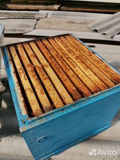 Улей для пчел