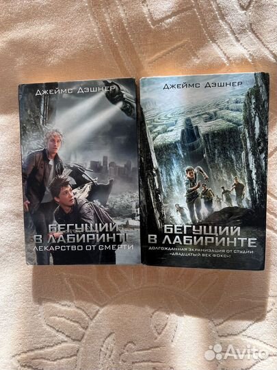 Книга «Бегущий в Лабиринте»