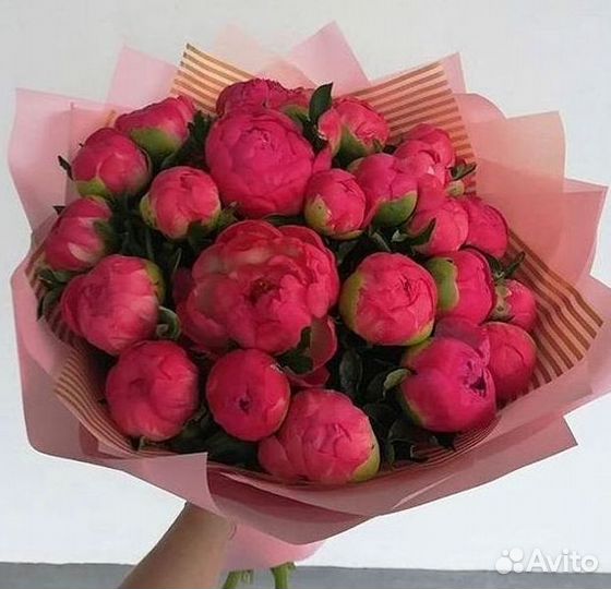 Пионы Букет пионов