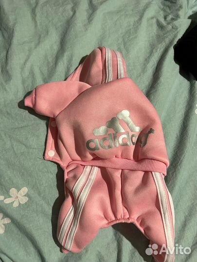 Одежда для животных