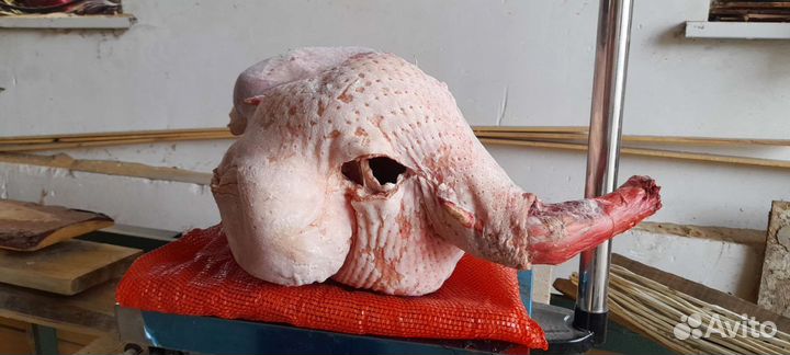 Продам мясо индейки домашней