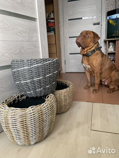 Кашпо напольное