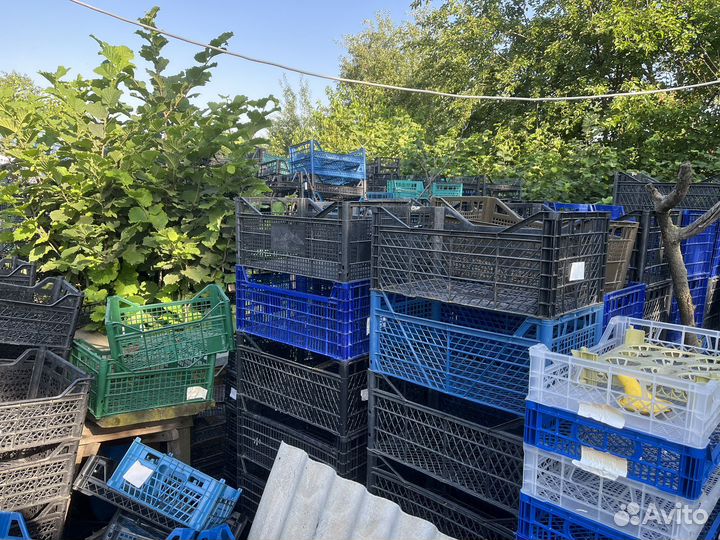 Пластиковые ящики для овощей