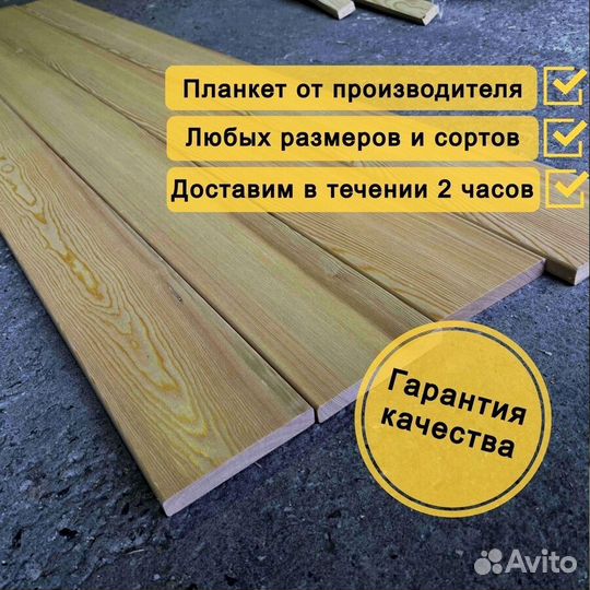 Планкен прямой лиственница