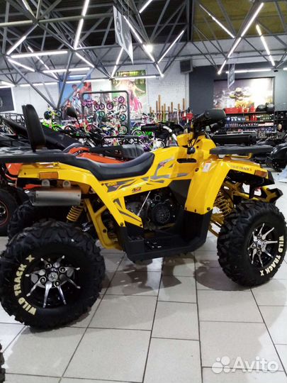 Motolend wild track x 200 pro