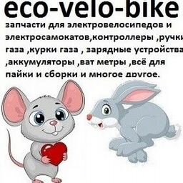 eco-velo-bike