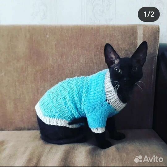 Одежда для животных