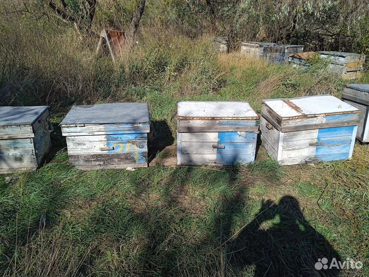 Ульи для пчел