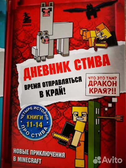 Книга дневник Стива