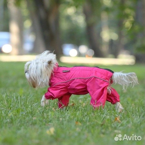 Комбинезон 30М (сука) JOY малиновый для собак