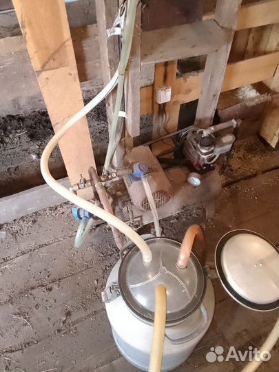 Доильный аппарат для коров бу