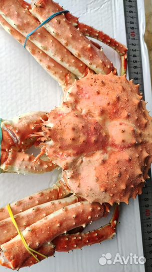 Краб камчатский, оригинальный подарок