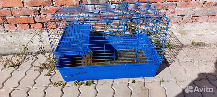 Клетка для грызунов большая