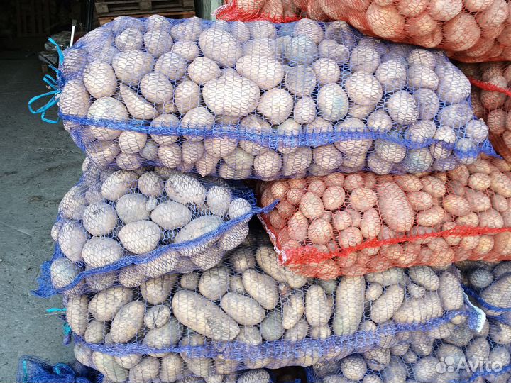 Картофель на корм скоту