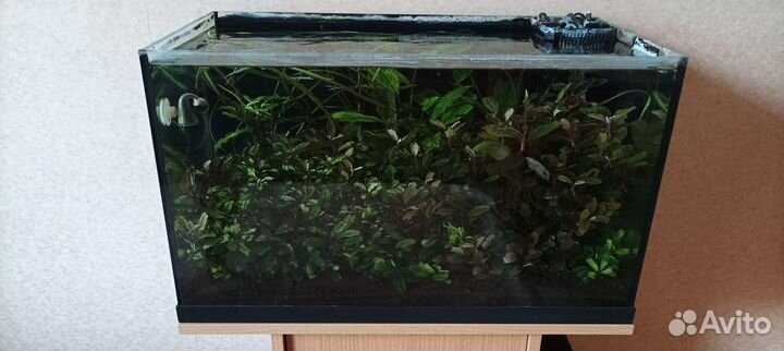 Аквариум 60л Juwel Rekord 600 с тумбой