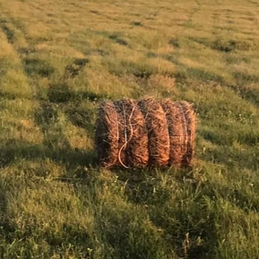 Продам сено в рулонах