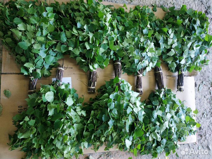 Берëзовые замороженные веники для бани