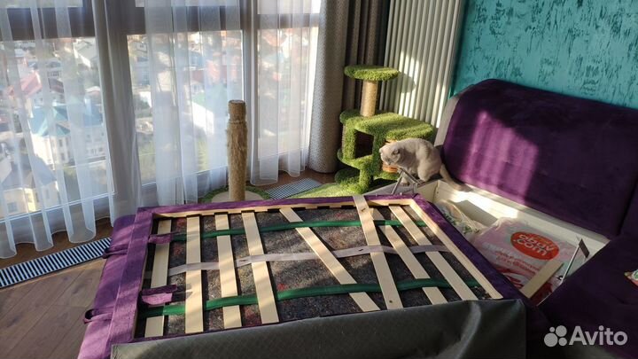 Ремонт диванов любой сложности