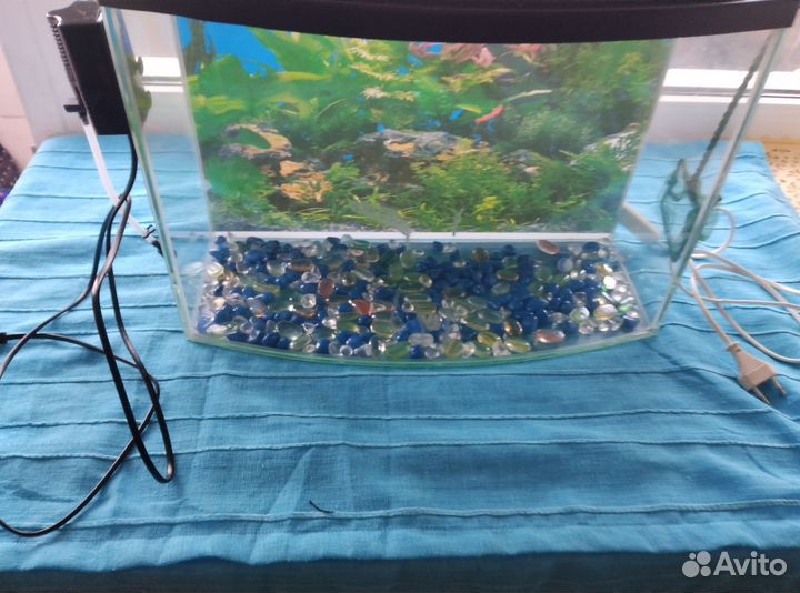 Аквариум