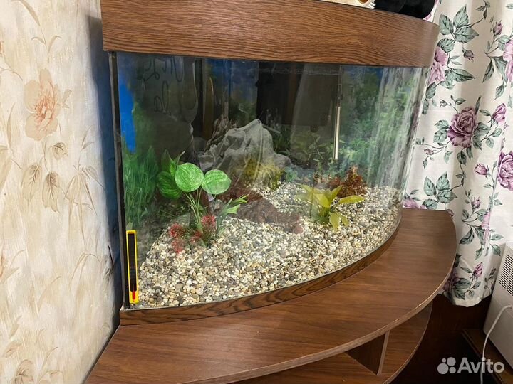Аквариум угловой с тумбой