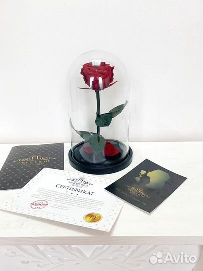 Роза в колбе
