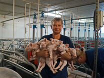 без опыта. работа краснодар картинки. работа в краснодаре. кбгу краснодарский университет. конкурс на государственную службу.