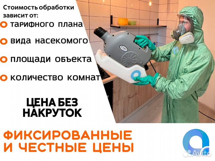 Уничтожение тараканов клопов блох дезинсекция