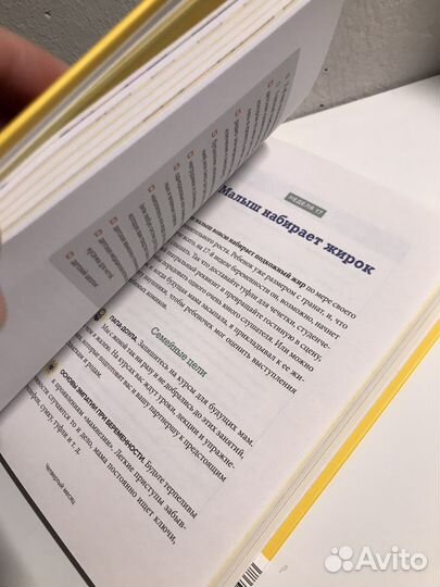 Мы беременны Адриан Калп