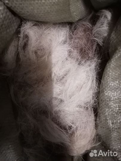 Конский волос