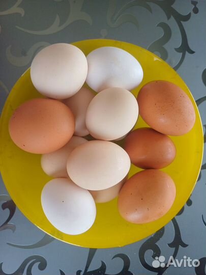 Яйцо куриное домашнее