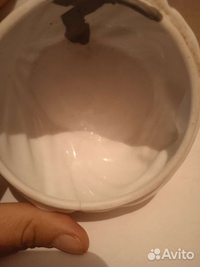 Шкатулка широкая масленница Данько лфз