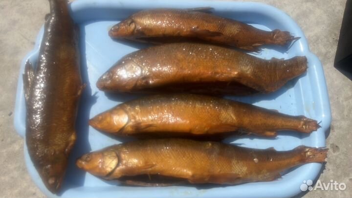 Свежая рыба лещ