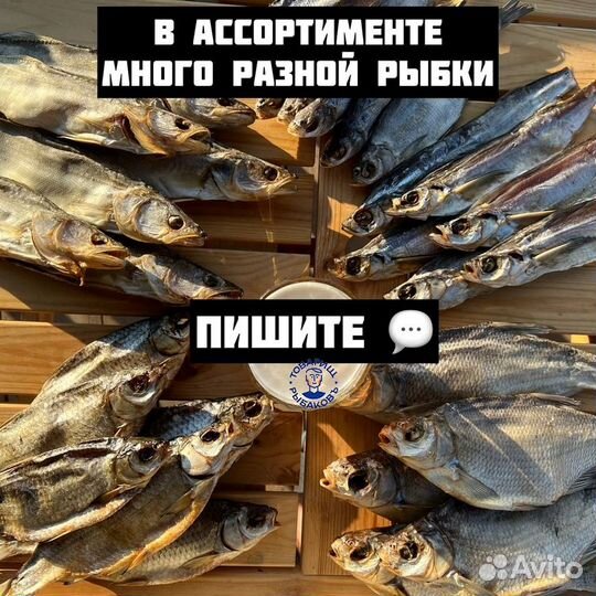 Рыба вобла