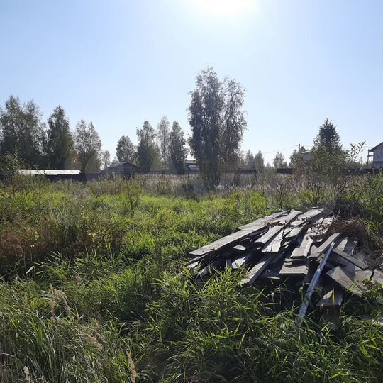 Участок 9,9 сот. (СНТ, ДНП)