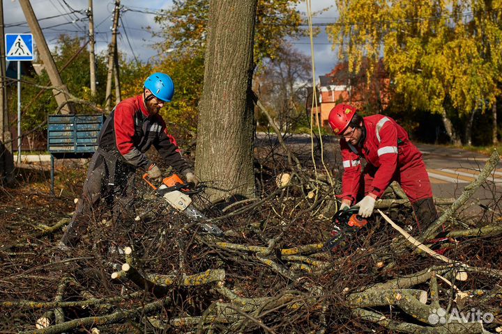 Спилить дерево