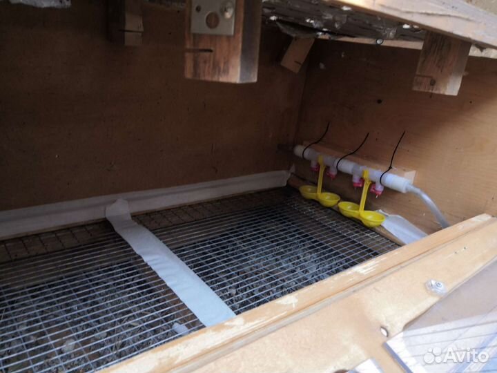 Брудер для цыплят б/у