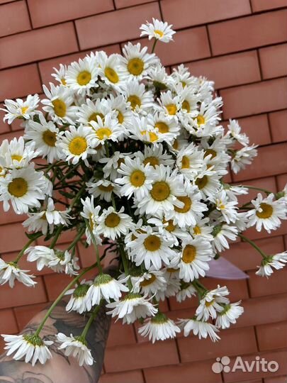 Букеты из василька и ромашки