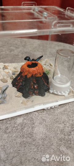 Террариум для рептилий