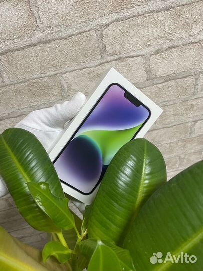 iPhone 14, 128 ГБ