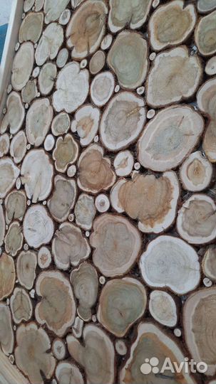 Можжевельник