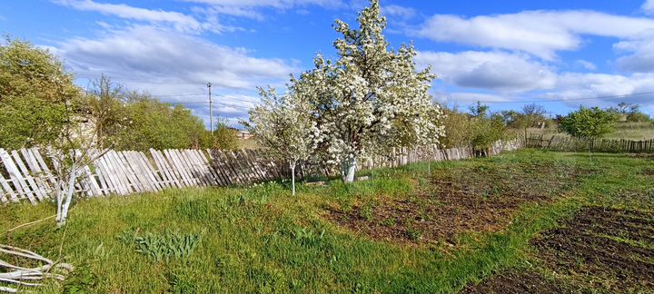 Участок 5,6 сот. (СНТ, ДНП)