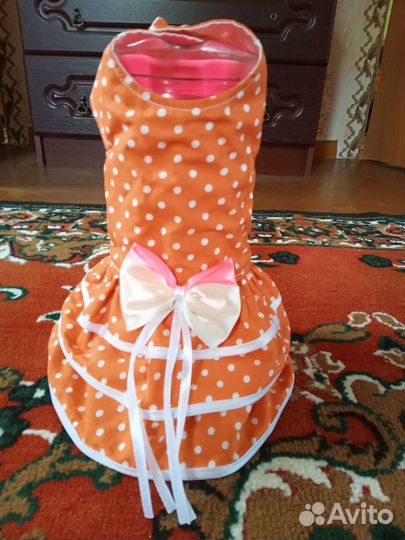 Одежда, обувь для маленькой собачки