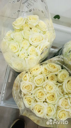 Розы доставка