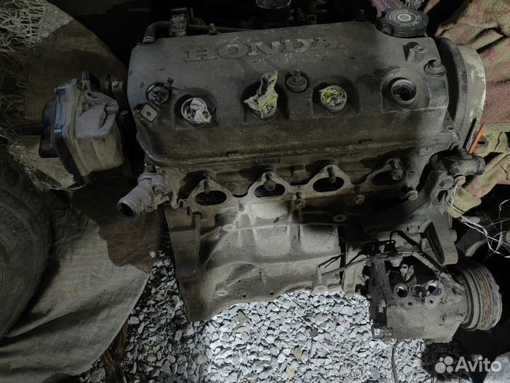 Двигатель Хонда цивик D15B